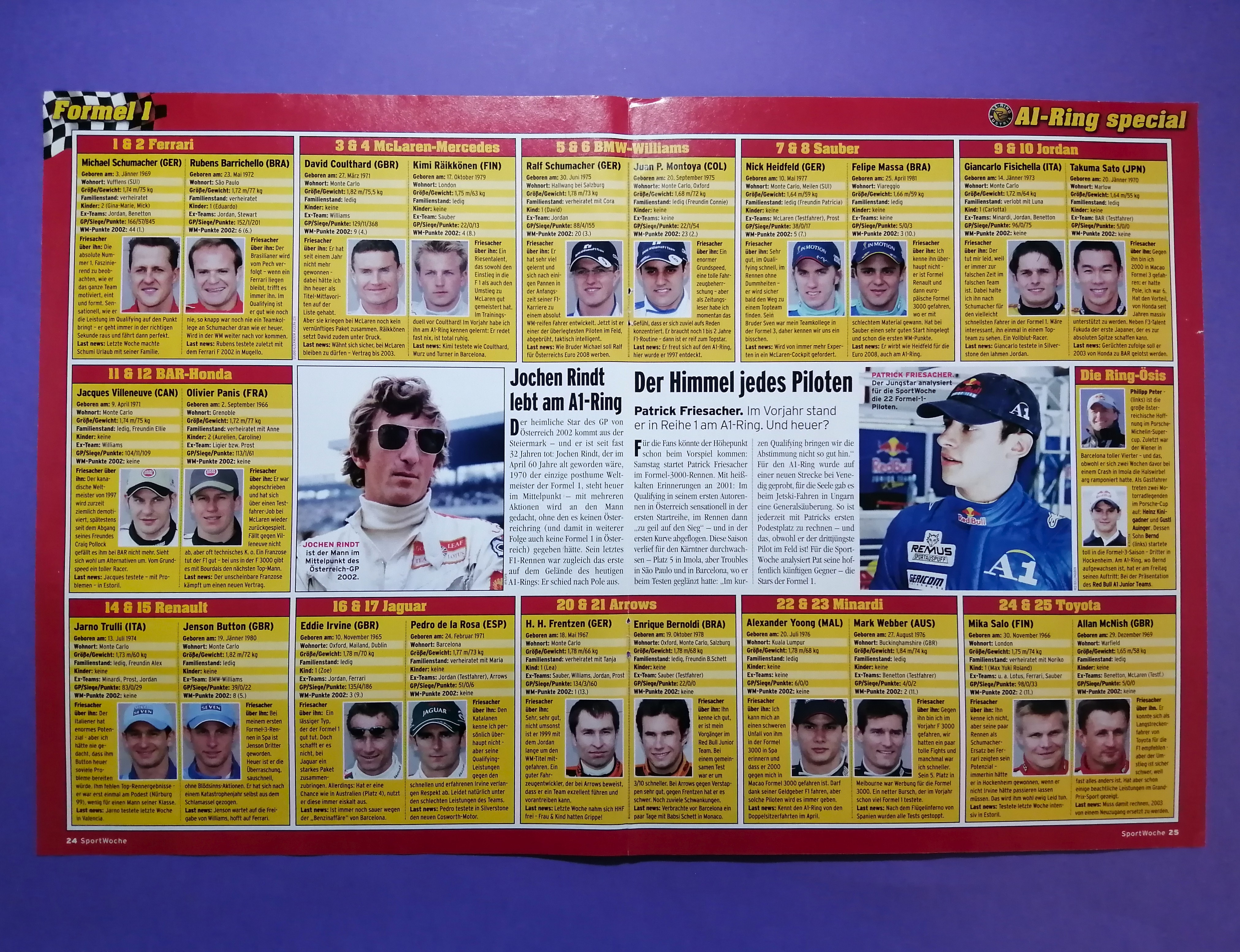 altes Poster, Juan Pablo Montoya, BMW Williams, Formel 1 Grand Prix 2002, 30x42cm