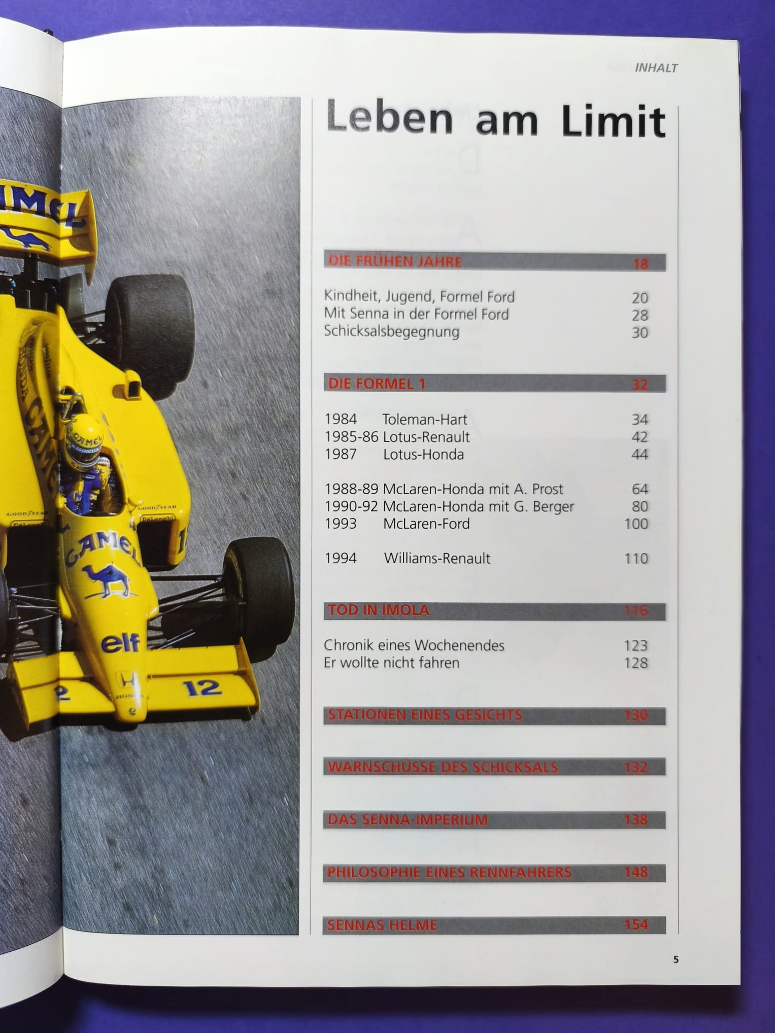altes Buch, Ayrton Senna, Leben am Limit, Formel 1 Grand Prix Weltmeister 1988, 1990, 1991, McLaren Honda