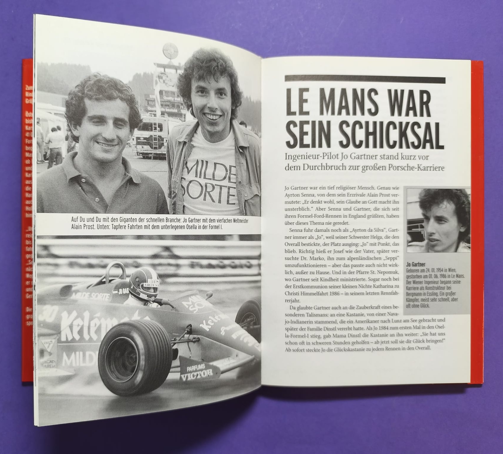 altes Buch, Unsere Champions 1900 bis 2003, Rindt, Lauda, Gartner, Berger, Ratzenberger, Hollaus,... Formel 1, LeMans, Motorsport