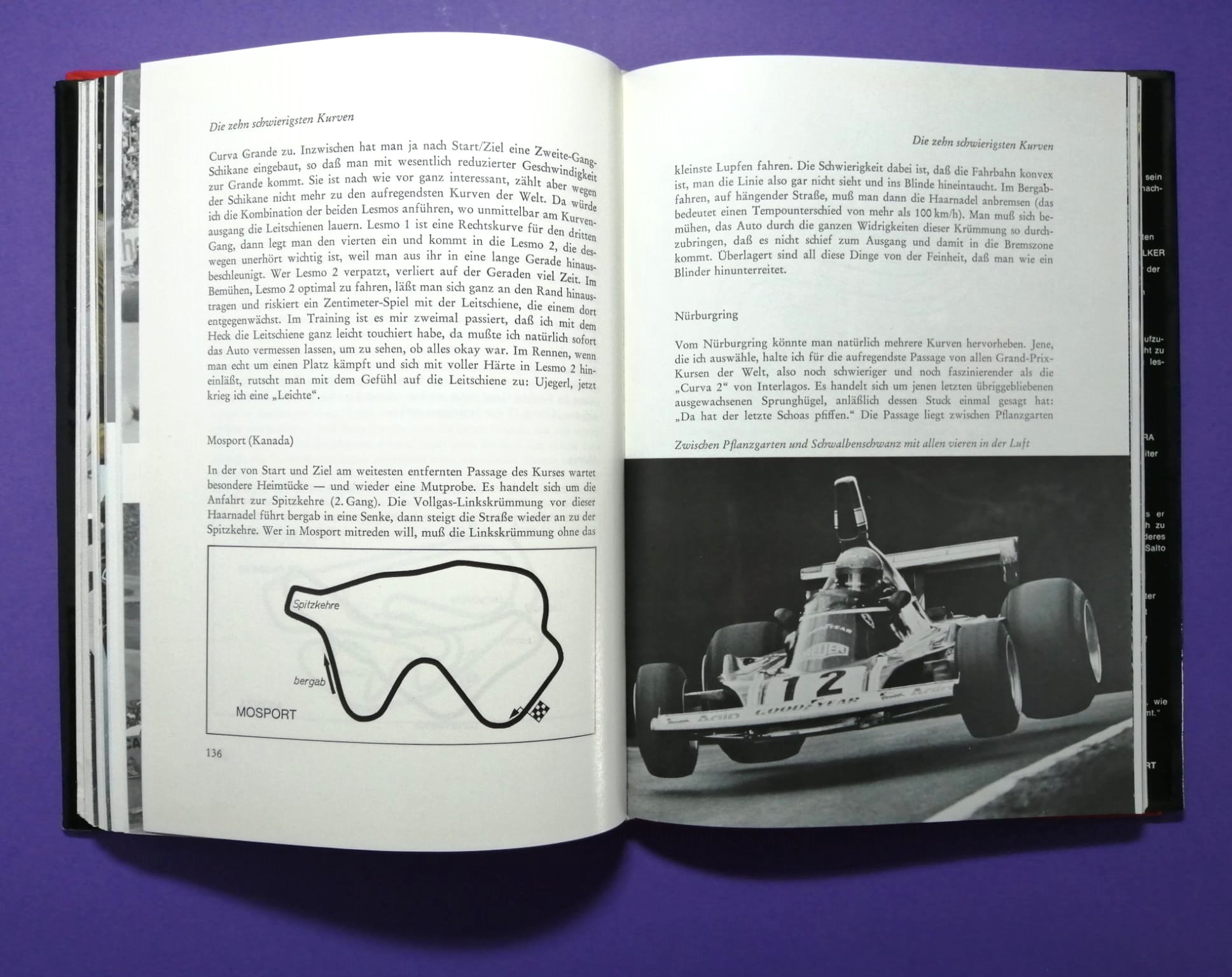 altes Buch Niki Lauda Formel 1, Technik und Praxis des Grand Prix Sports, Ferrari, Mariella Reininghaus, James Hunt, Österreichring,..