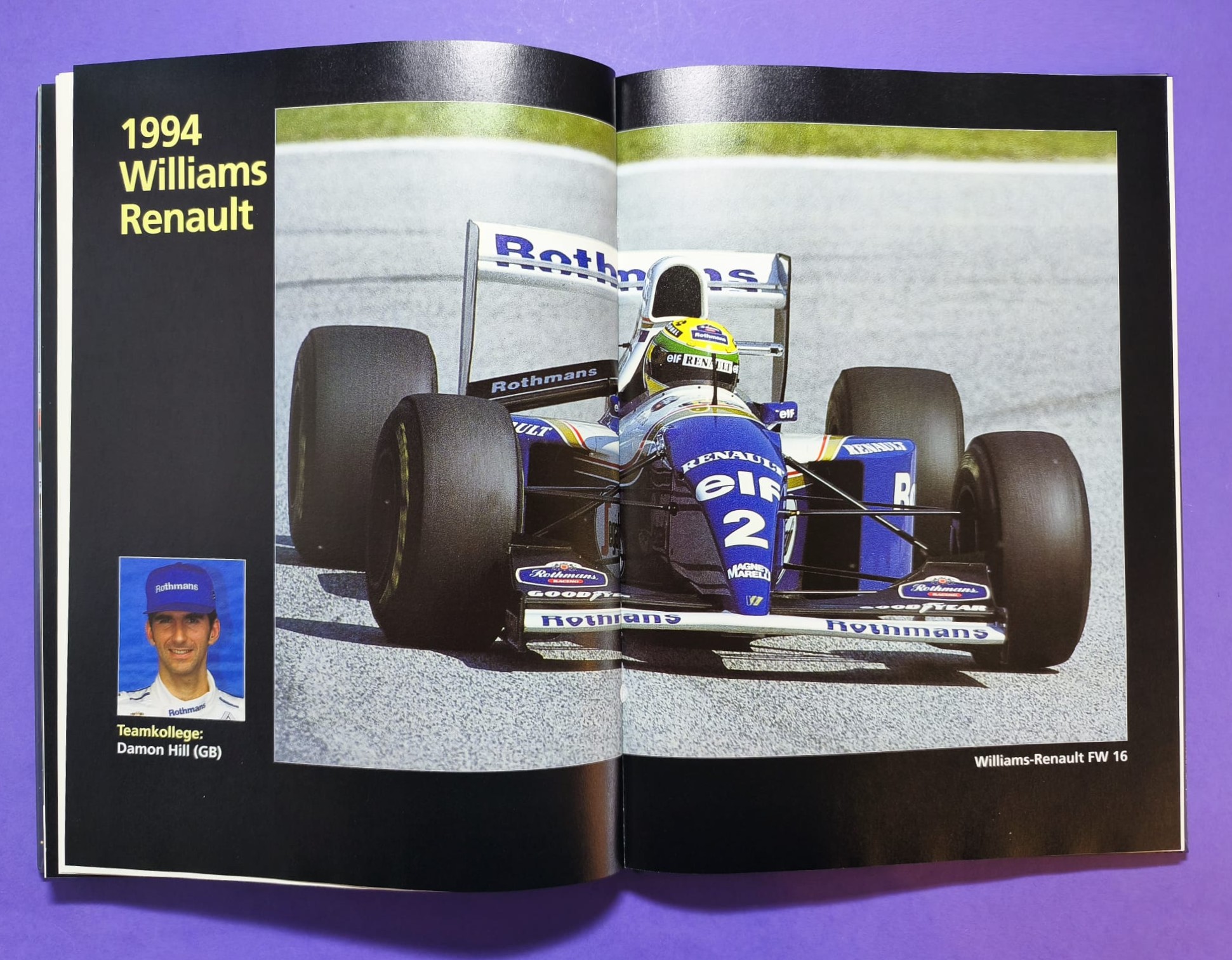 altes Buch, Ayrton Senna, Leben am Limit, Formel 1 Grand Prix Weltmeister 1988, 1990, 1991, McLaren Honda