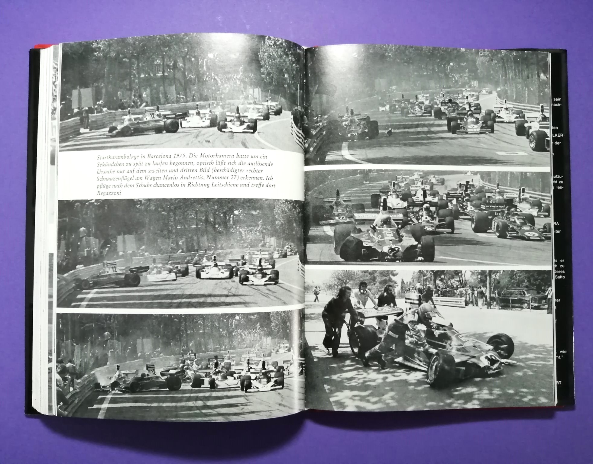 altes Buch Niki Lauda Formel 1, Technik und Praxis des Grand Prix Sports, Ferrari, Mariella Reininghaus, James Hunt, Österreichring,..