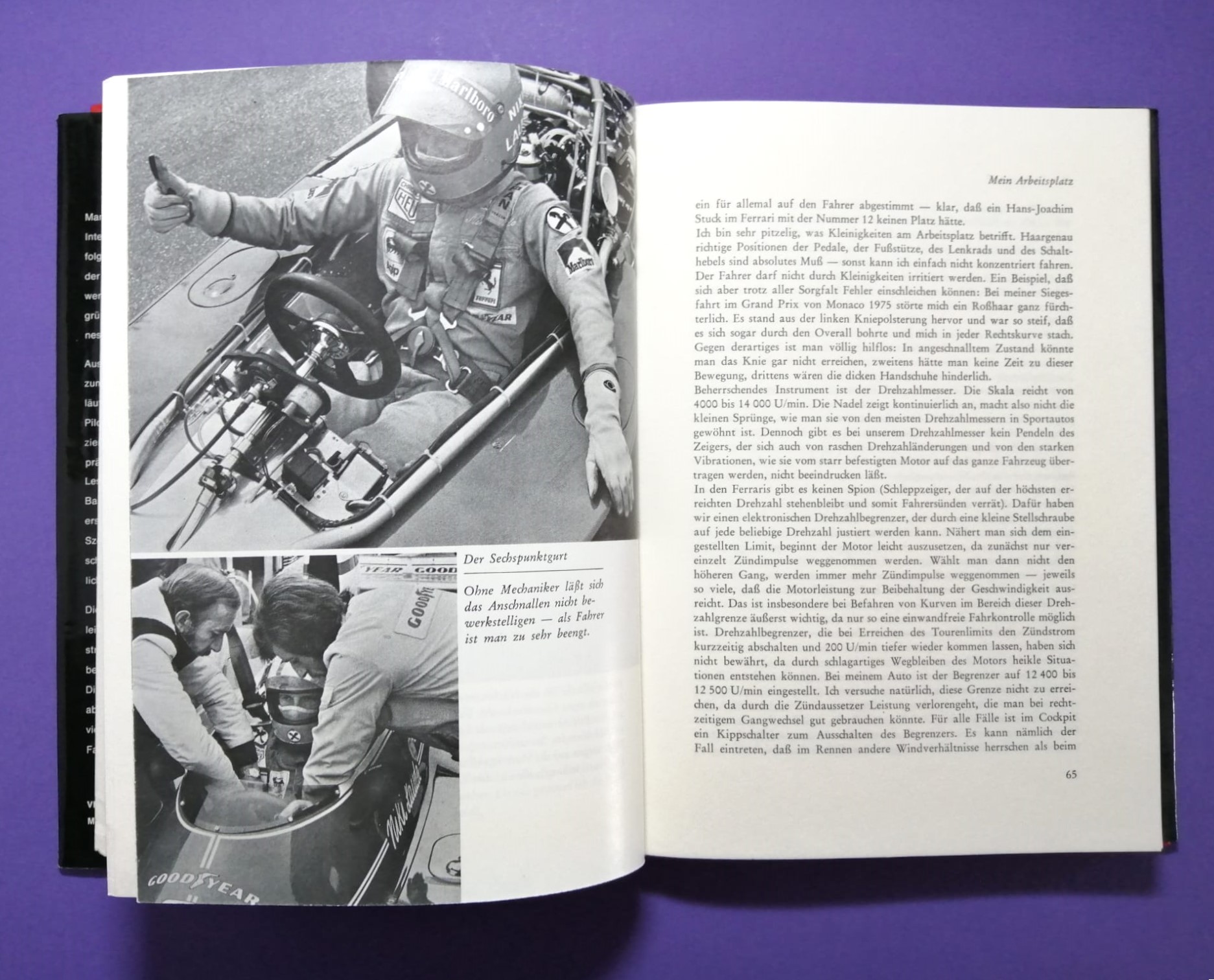 altes Buch Niki Lauda Formel 1, Technik und Praxis des Grand Prix Sports, Ferrari, Mariella Reininghaus, James Hunt, Österreichring,..