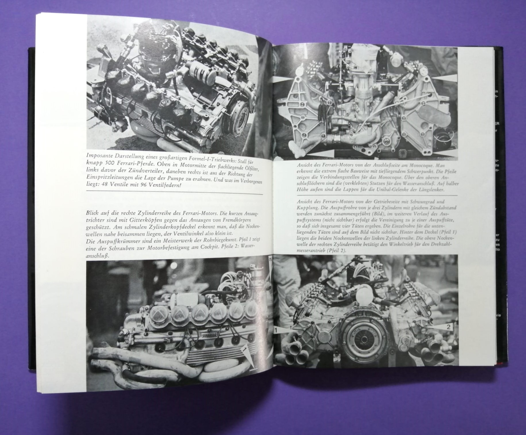 altes Buch Niki Lauda Formel 1, Technik und Praxis des Grand Prix Sports, Ferrari, Mariella Reininghaus, James Hunt, Österreichring,..