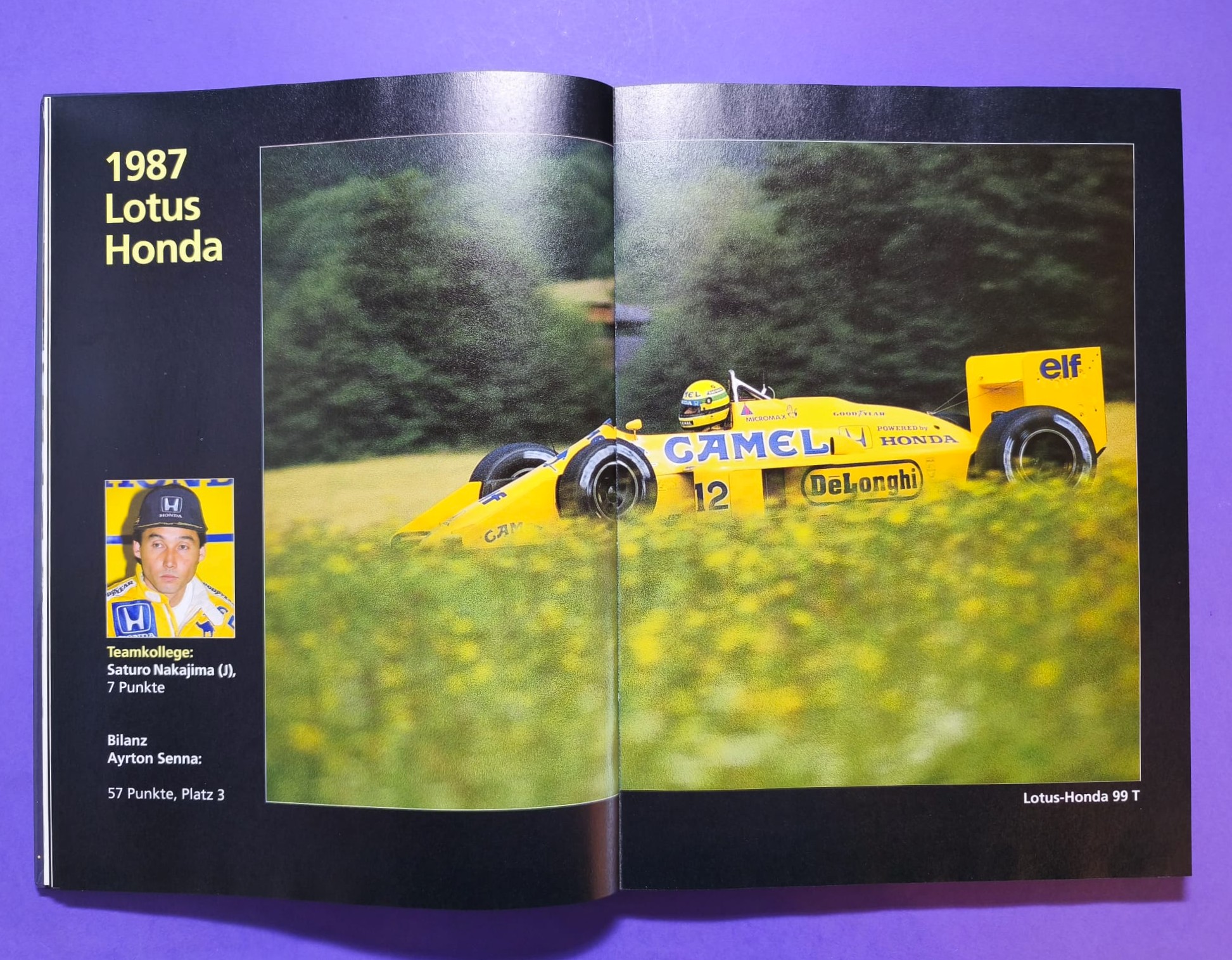 altes Buch, Ayrton Senna, Leben am Limit, Formel 1 Grand Prix Weltmeister 1988, 1990, 1991, McLaren Honda