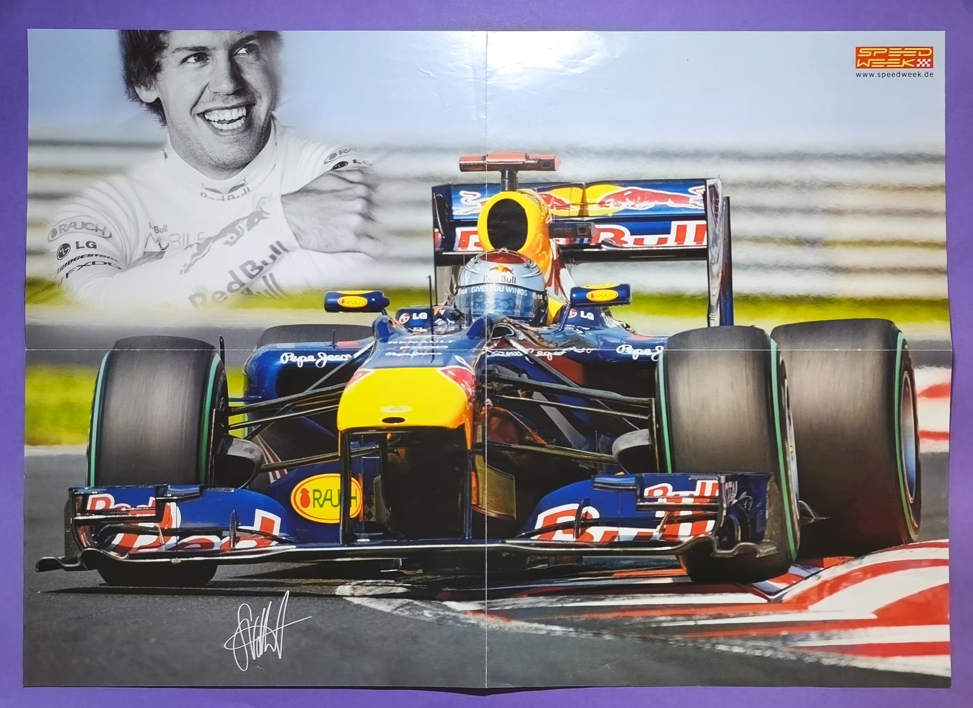 altes Poster Sebastian Vettel, Red Bull Renault, Formel 1 Grand Prix Weltmeister 2010, 42x59cm