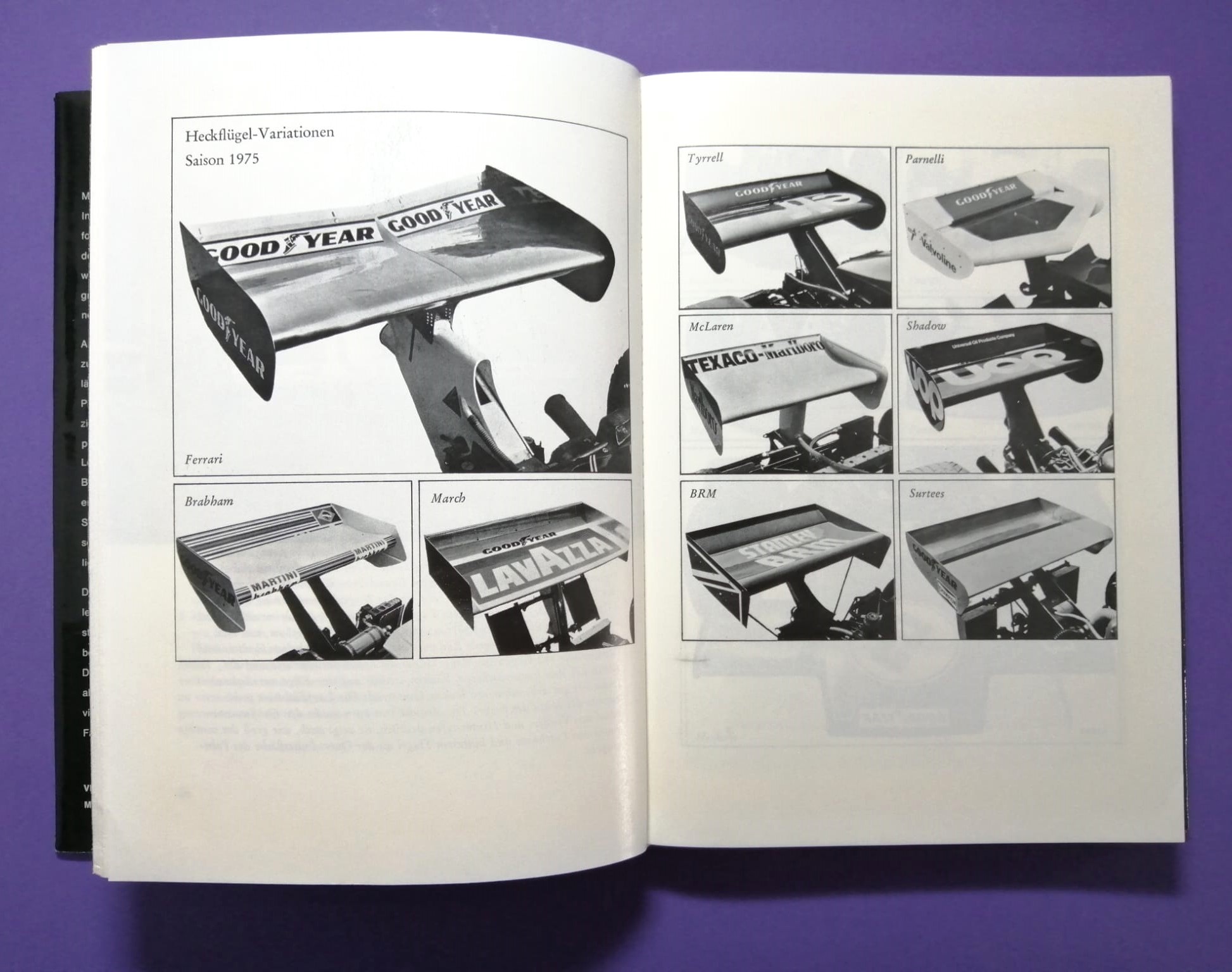 altes Buch Niki Lauda Formel 1, Technik und Praxis des Grand Prix Sports, Ferrari, Mariella Reininghaus, James Hunt, Österreichring,..