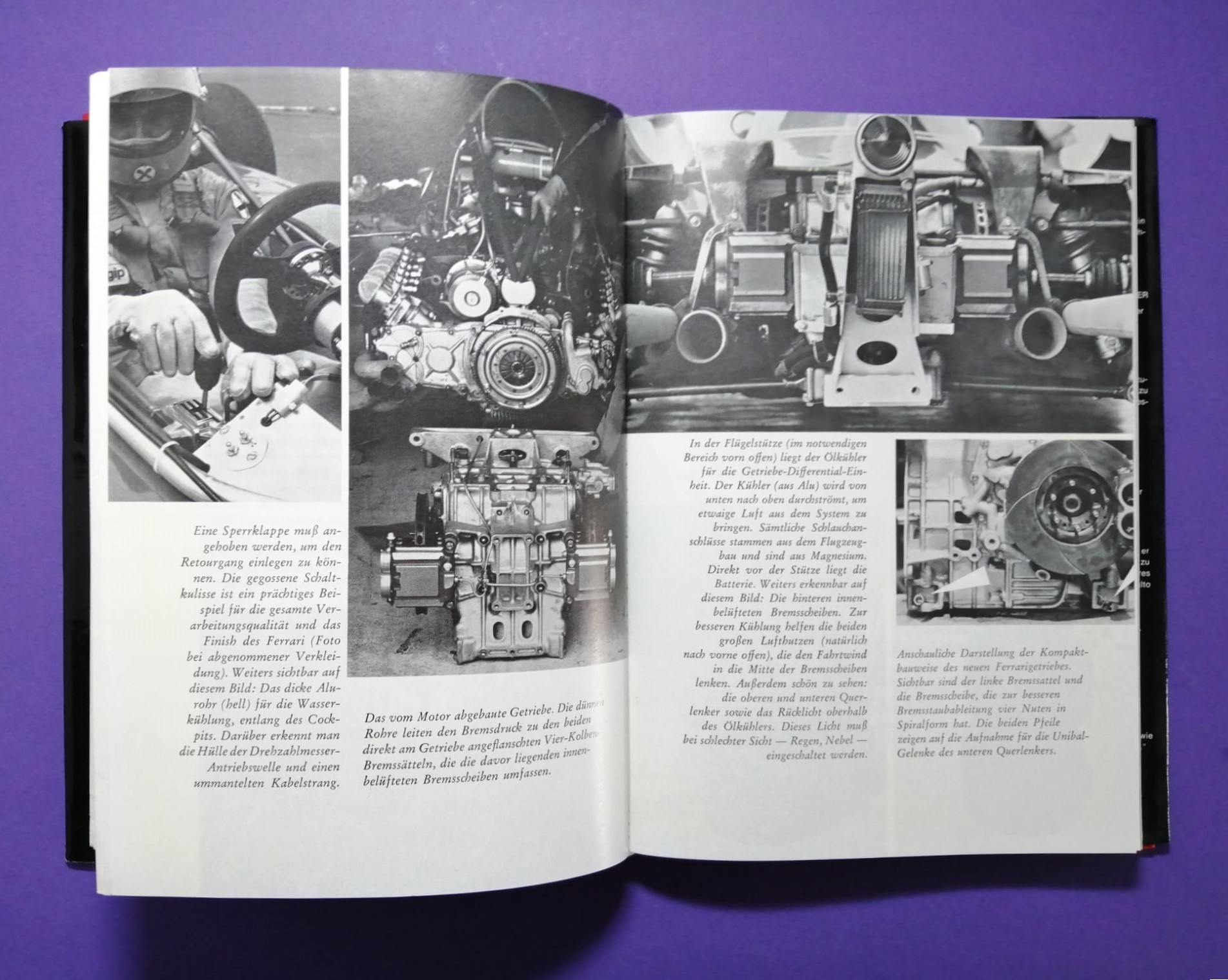 altes Buch Niki Lauda Formel 1, Technik und Praxis des Grand Prix Sports, Ferrari, Mariella Reininghaus, James Hunt, Österreichring,..