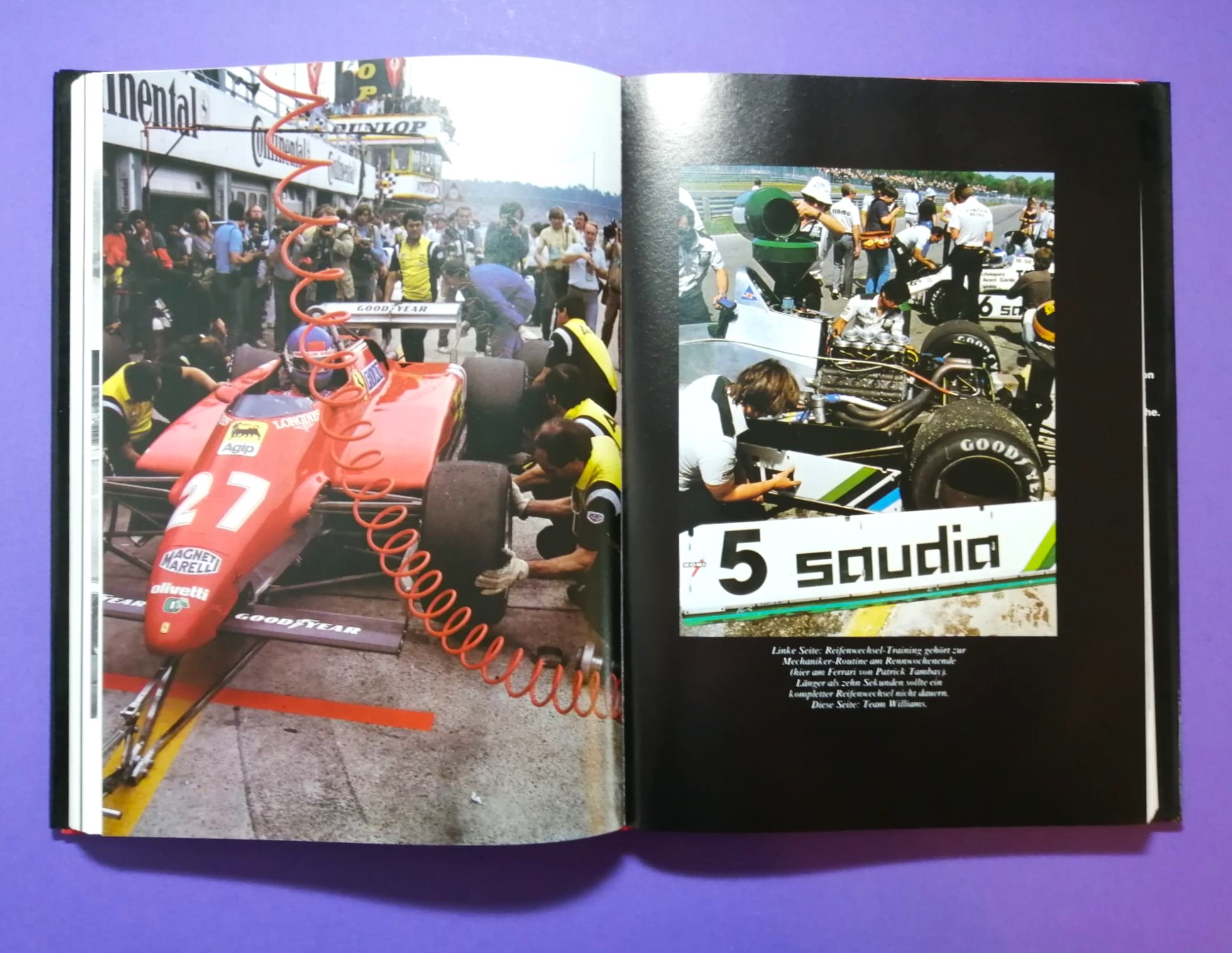 altes Buch Niki Lauda Die neue Formel 1, Das Turbo Zeitalter, Technik und Praxis des Grand Prix Sports 2, BMW, Ferrari, Renault, G. Villeneuve, E. de Angelis, D. Pironi, A. de Cesaris, M. Winkelhock, Österreichring,..