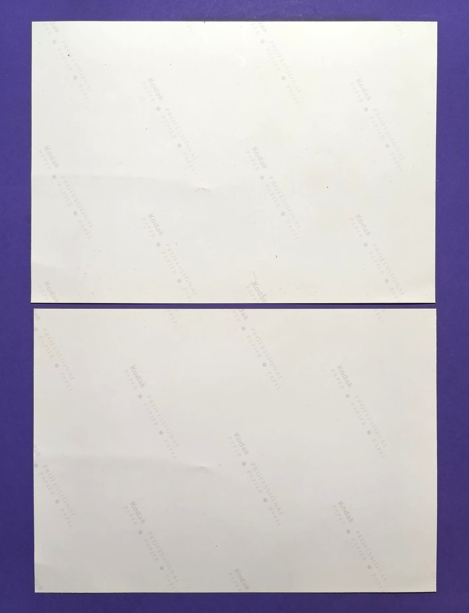 2 Stück alte Pressefotos, BMW Williams, Vorpräsentation für die Saison 2000, Formel 1 Grand Prix, 16x22cm