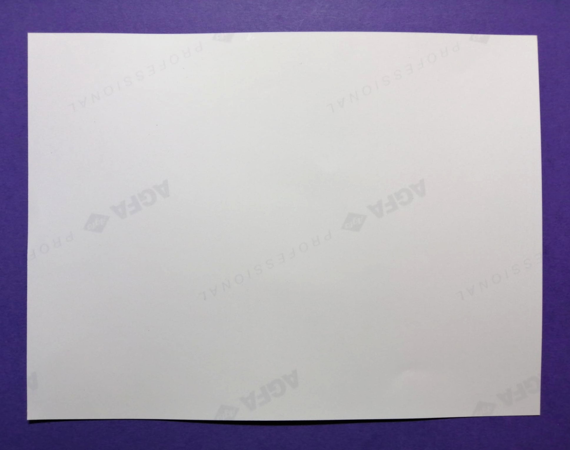 altes Presse Werksfoto, Motor Yamaha OX11A, Team Tyrrell, Formel 1 Grand Prix 1996, 15x20cm