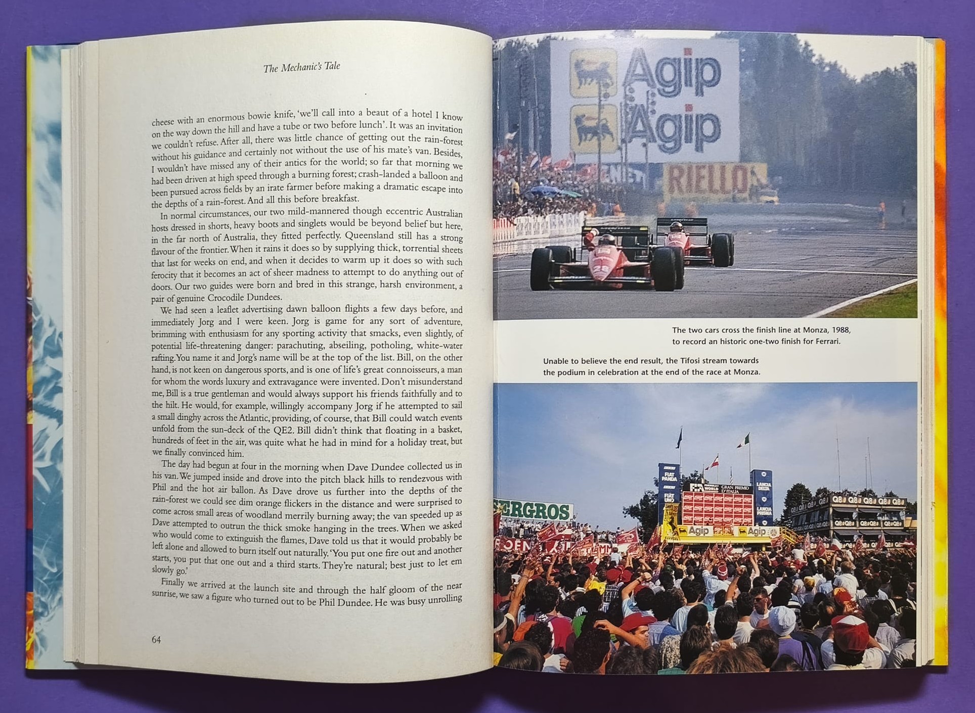 altes Buch, The Mechanics´s Tale, Life in the Pit Lanes of Formula One, Grand Prix 1988 bis 1996, Schumacher, Piquet, Benetton,..