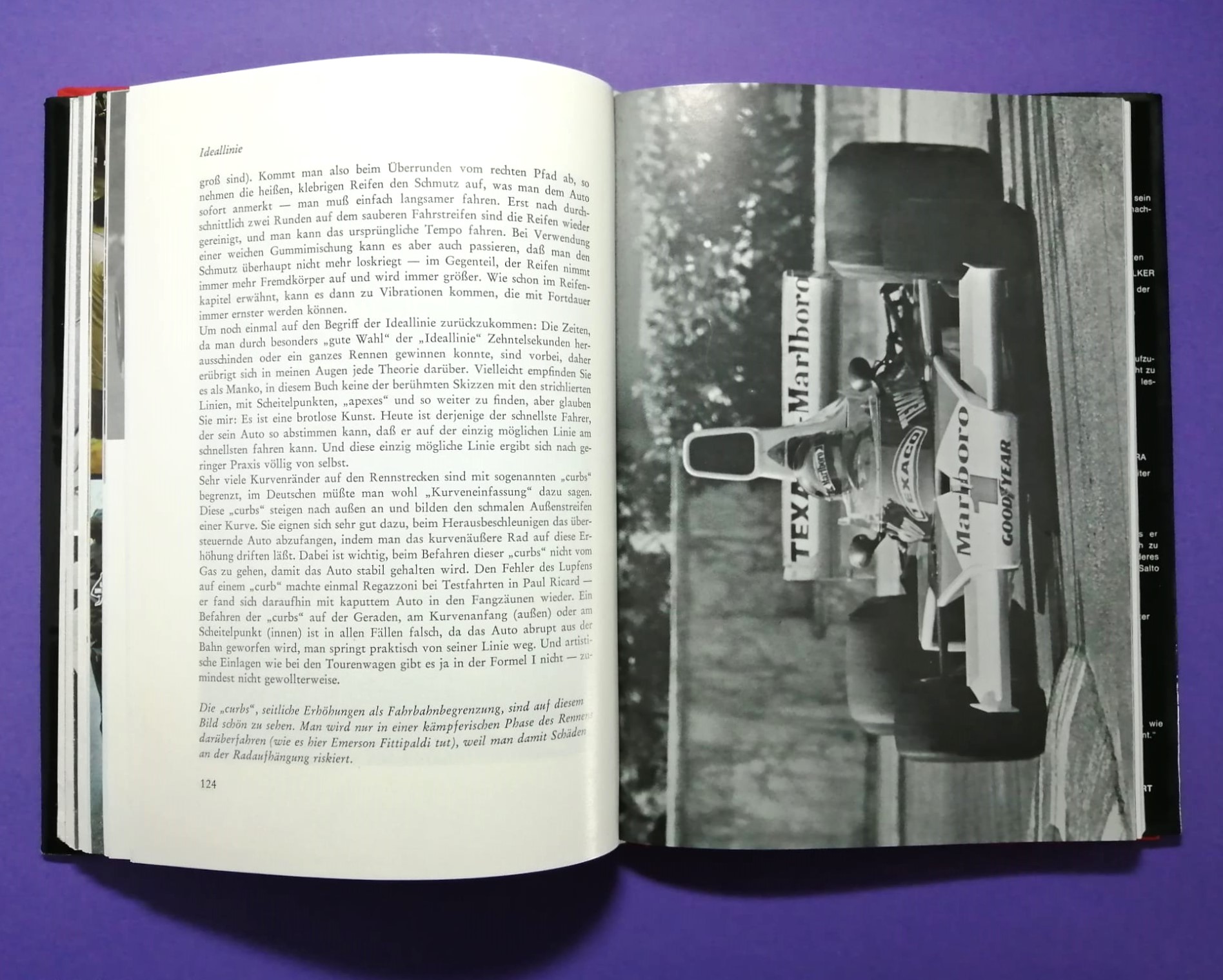 altes Buch Niki Lauda Formel 1, Technik und Praxis des Grand Prix Sports, Ferrari, Mariella Reininghaus, James Hunt, Österreichring,..