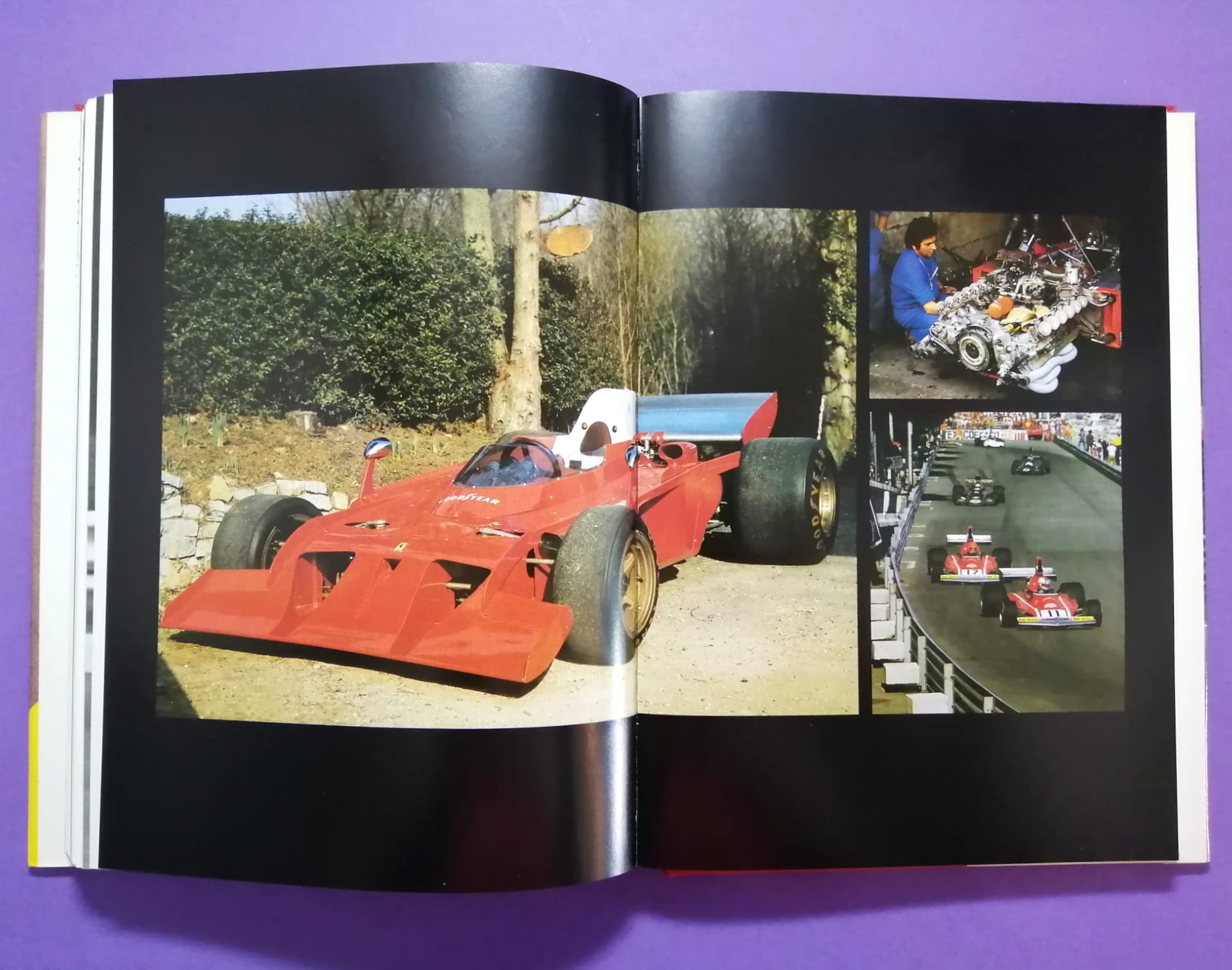 altes Buch, Ferrari, The Grand Prix Cars, 1948-1988, Formel 1, 352 Seiten, Englisch!