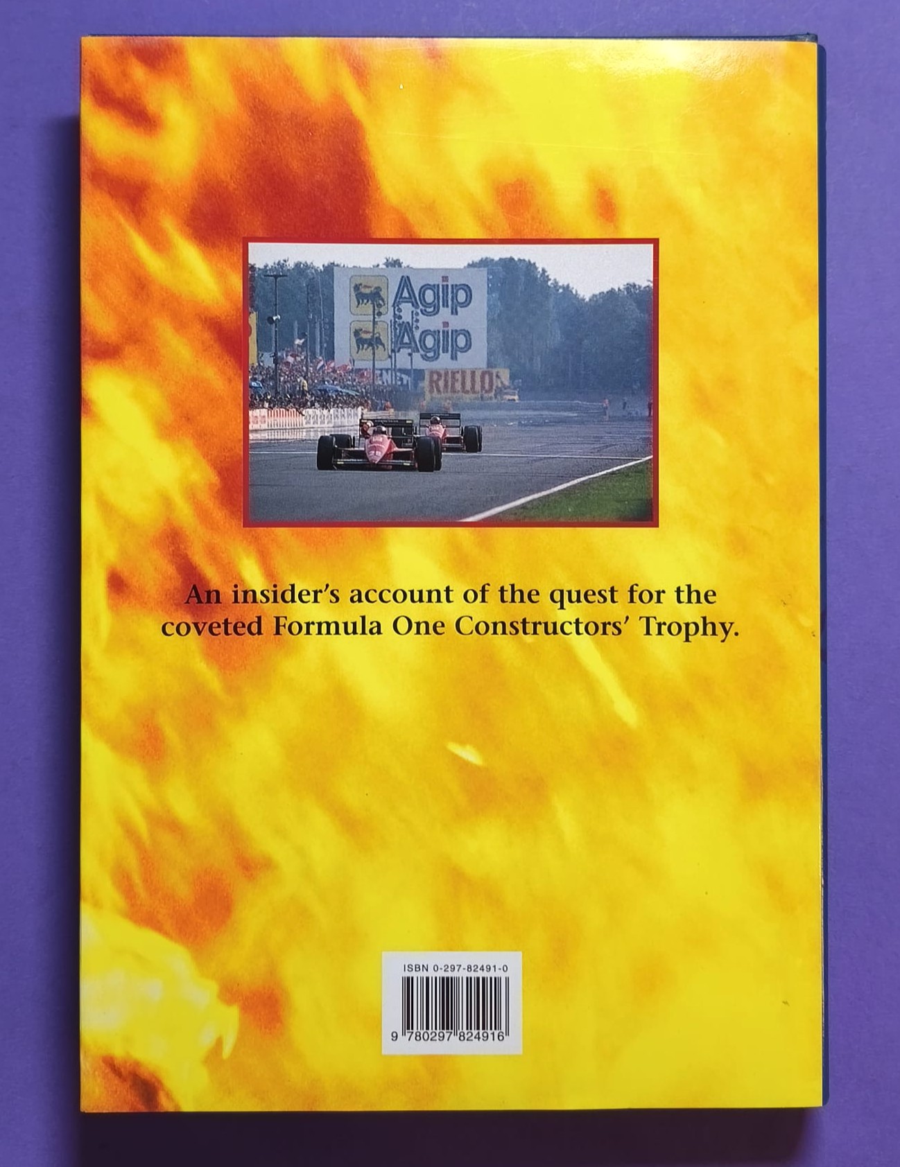 altes Buch, The Mechanics´s Tale, Life in the Pit Lanes of Formula One, Grand Prix 1988 bis 1996, Schumacher, Piquet, Benetton,..