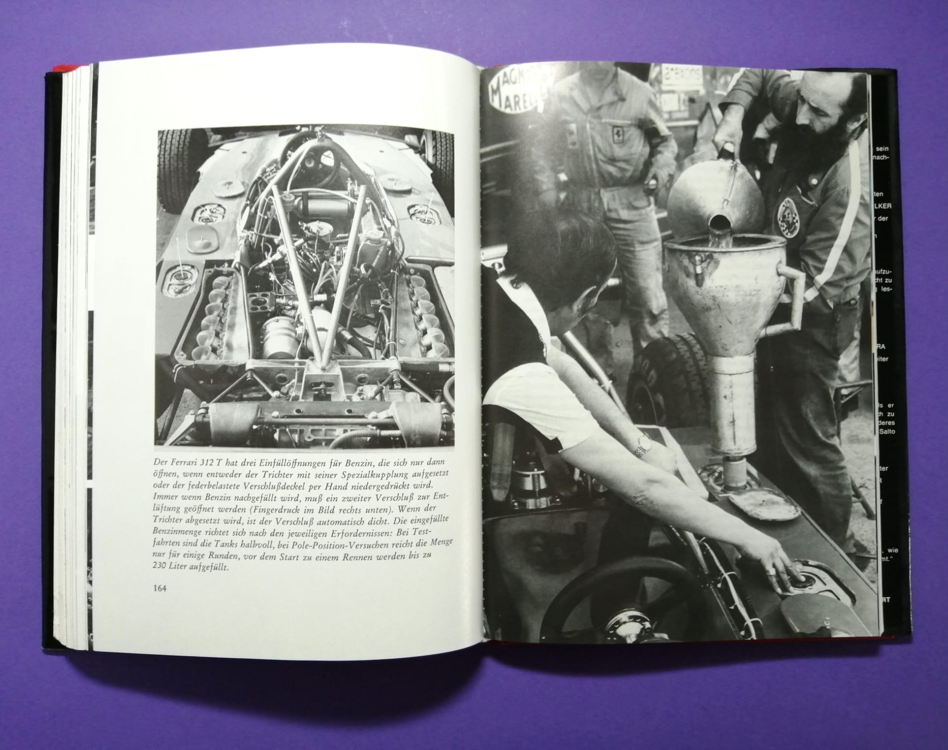 altes Buch Niki Lauda Formel 1, Technik und Praxis des Grand Prix Sports, Ferrari, Mariella Reininghaus, James Hunt, Österreichring,..