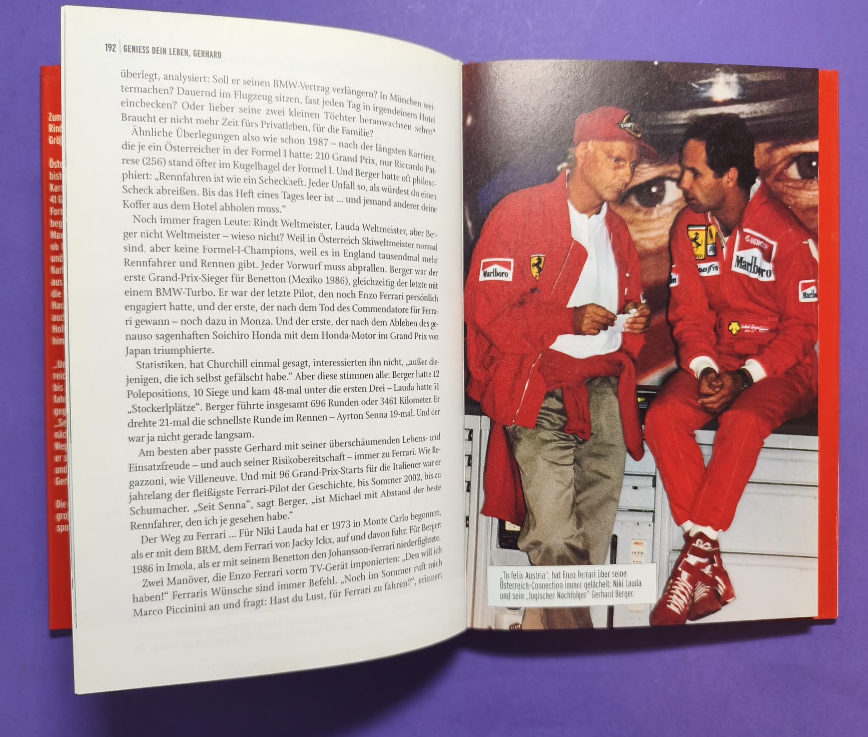 altes Buch, Unsere Champions 1900 bis 2003, Rindt, Lauda, Gartner, Berger, Ratzenberger, Hollaus,... Formel 1, LeMans, Motorsport