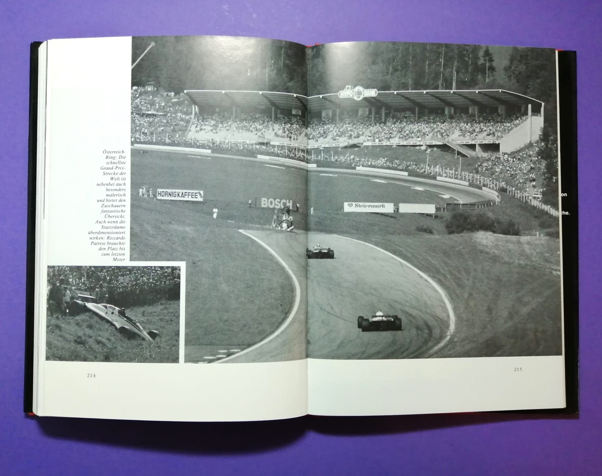 altes Buch Niki Lauda Die neue Formel 1, Das Turbo Zeitalter, Technik und Praxis des Grand Prix Sports 2, BMW, Ferrari, Renault, G. Villeneuve, E. de Angelis, D. Pironi, A. de Cesaris, M. Winkelhock, Österreichring,..