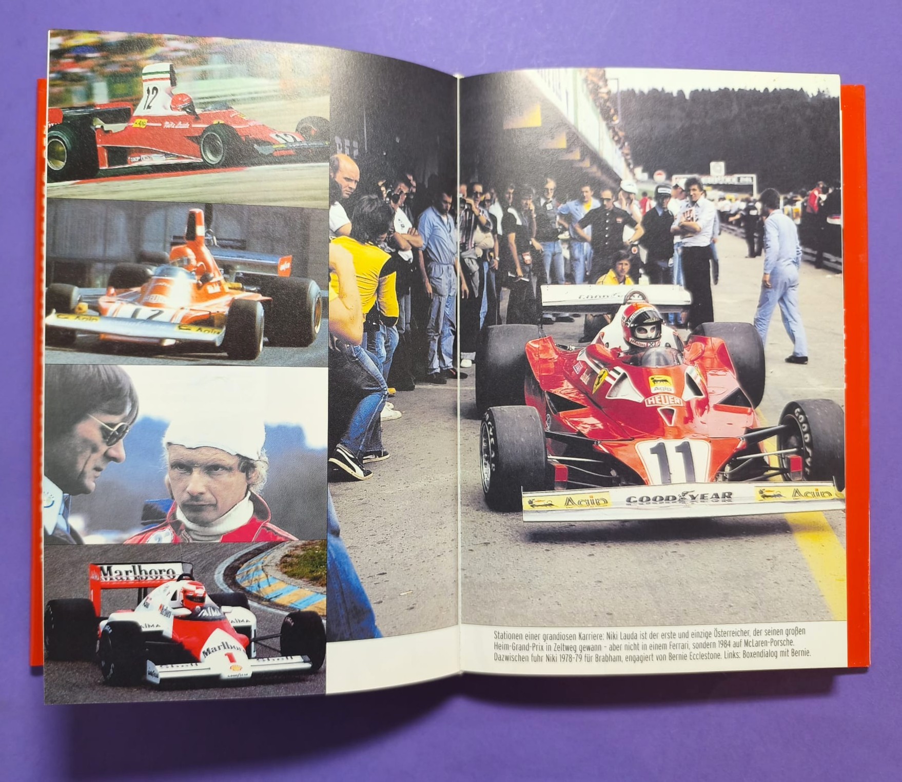 altes Buch, Unsere Champions 1900 bis 2003, Rindt, Lauda, Gartner, Berger, Ratzenberger, Hollaus,... Formel 1, LeMans, Motorsport