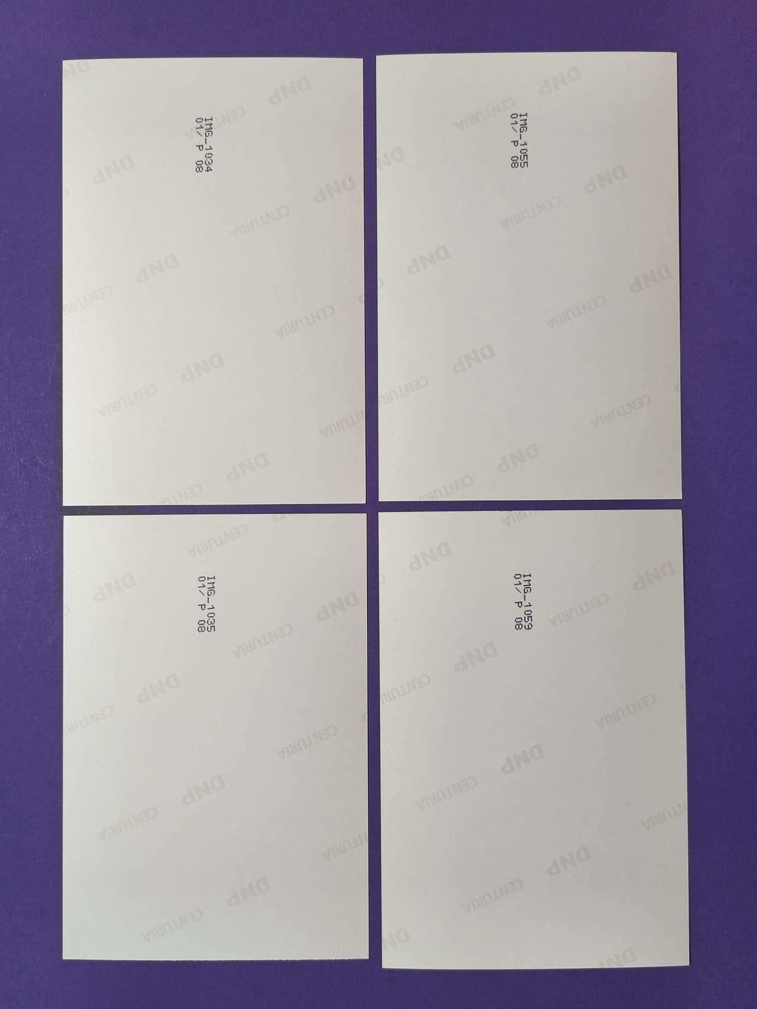 4 Stück alte Fotos, Heinz Prüller, Gerhard Berger, Präsentation Formel 1 Briefmarken Österreich 2001, 10x15cm