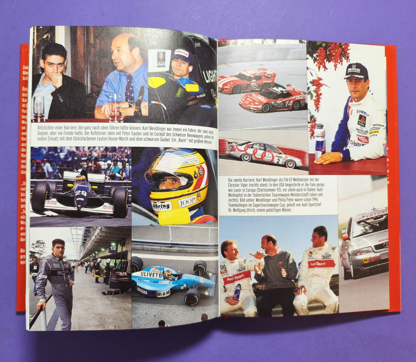altes Buch, Unsere Champions 1900 bis 2003, Rindt, Lauda, Gartner, Berger, Ratzenberger, Hollaus,... Formel 1, LeMans, Motorsport