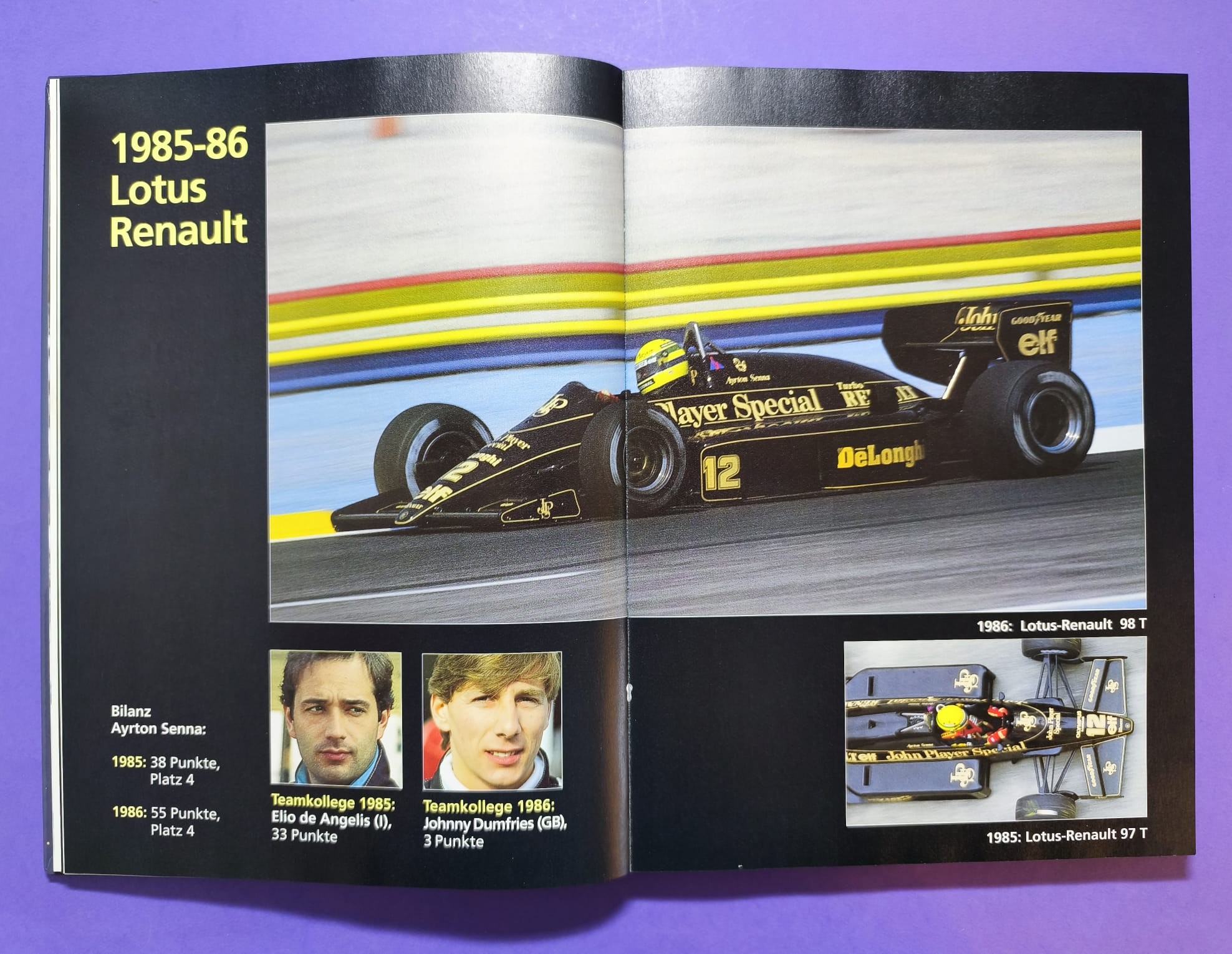altes Buch, Ayrton Senna, Leben am Limit, Formel 1 Grand Prix Weltmeister 1988, 1990, 1991, McLaren Honda