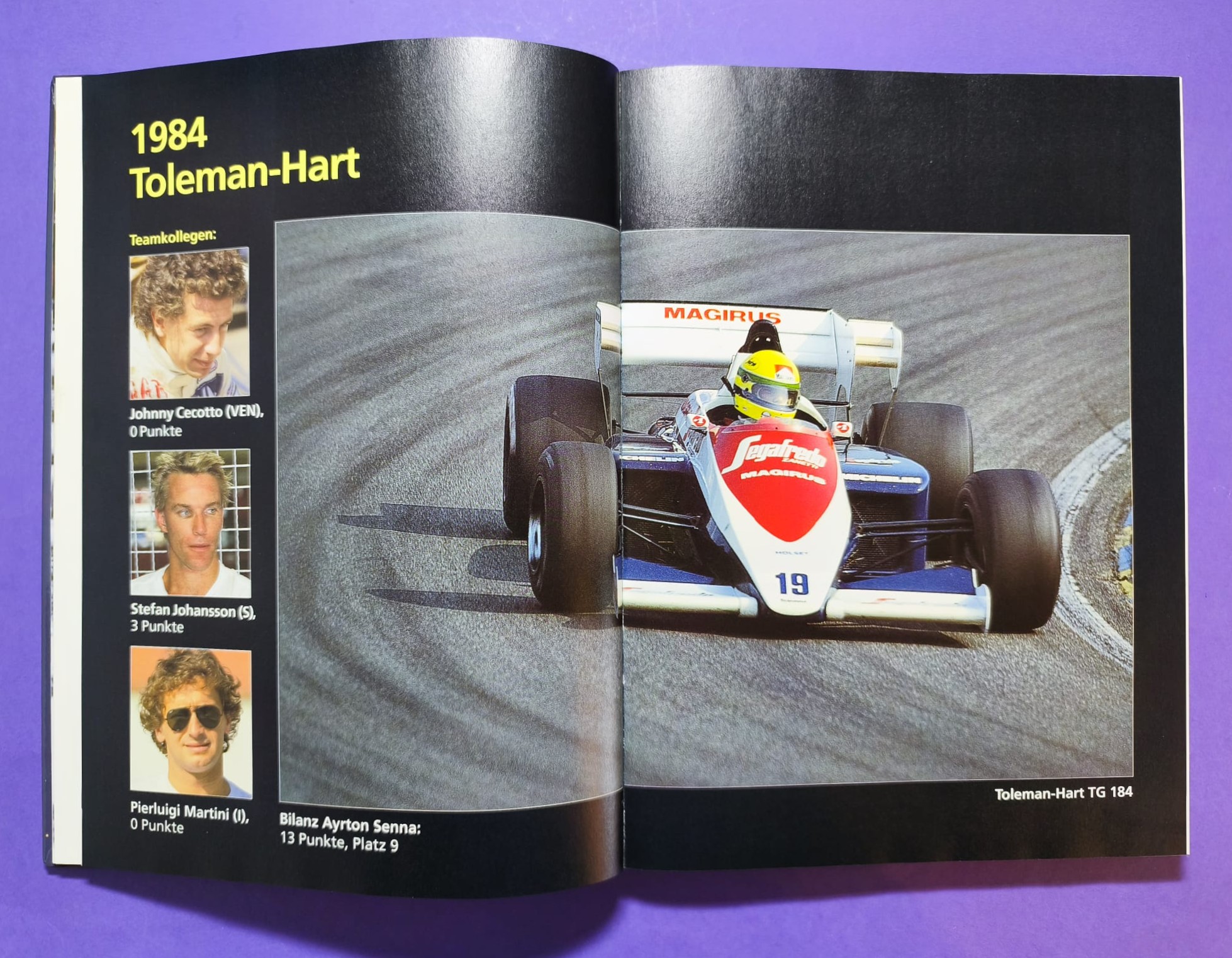 altes Buch, Ayrton Senna, Leben am Limit, Formel 1 Grand Prix Weltmeister 1988, 1990, 1991, McLaren Honda