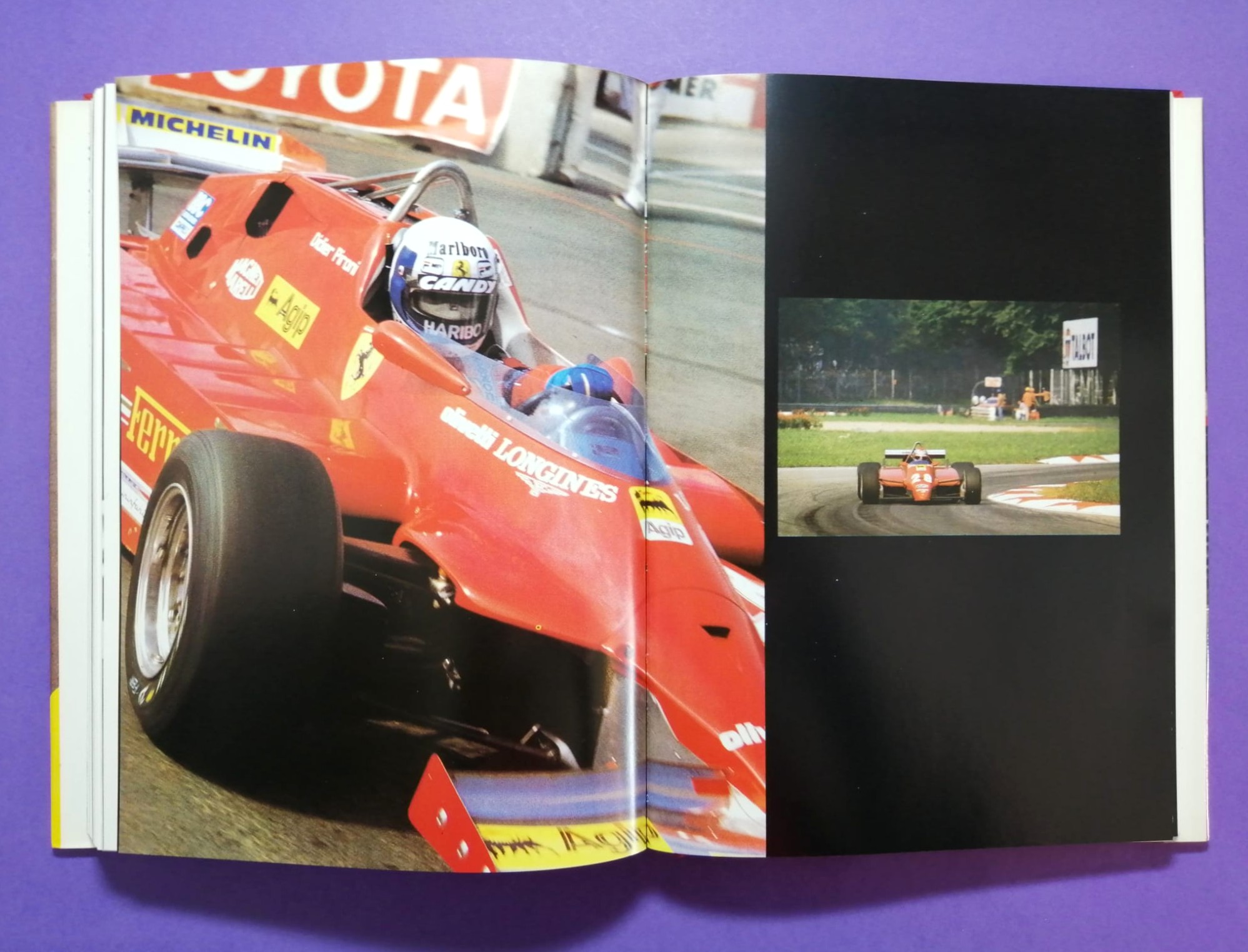 altes Buch, Ferrari, The Grand Prix Cars, 1948-1988, Formel 1, 352 Seiten, Englisch!