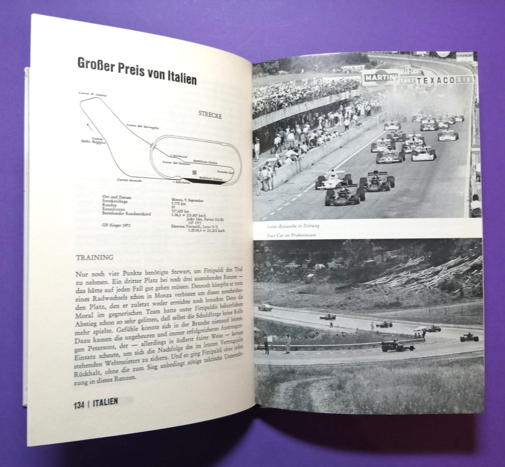 altes Buch Grand Prix 1973, Formel 1 Grand Prix Jahrbuch, Ulrich Schwab, Francois Cevert, Jackie Stewart, Tyrrell, Peterson Lotus, Hunt Hesketh,..