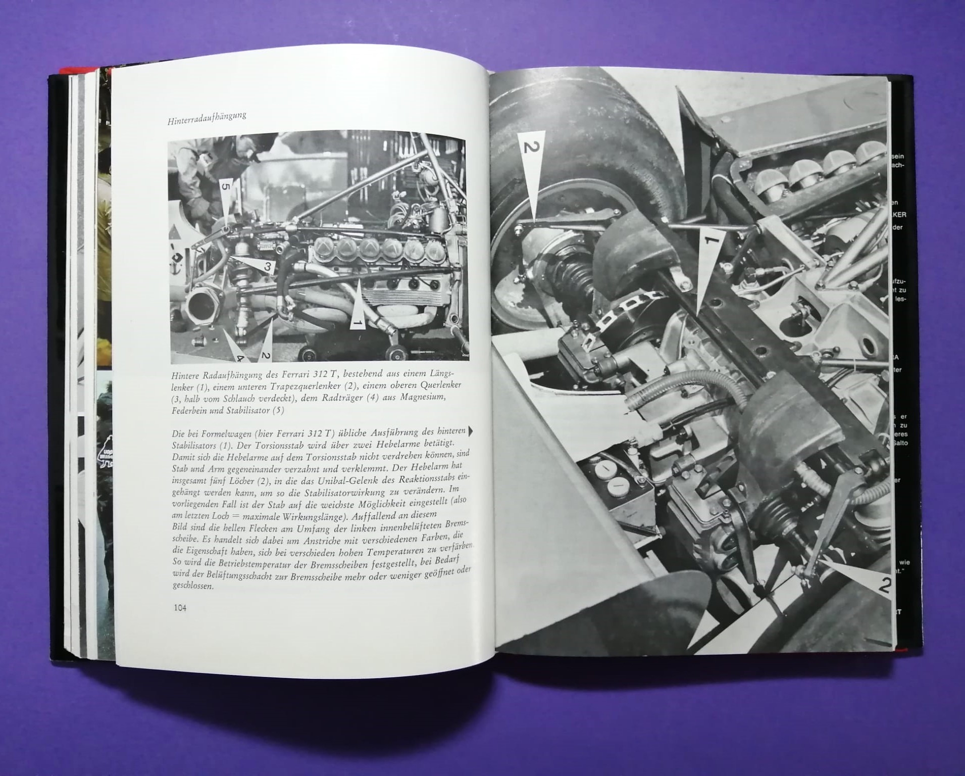 altes Buch Niki Lauda Formel 1, Technik und Praxis des Grand Prix Sports, Ferrari, Mariella Reininghaus, James Hunt, Österreichring,..