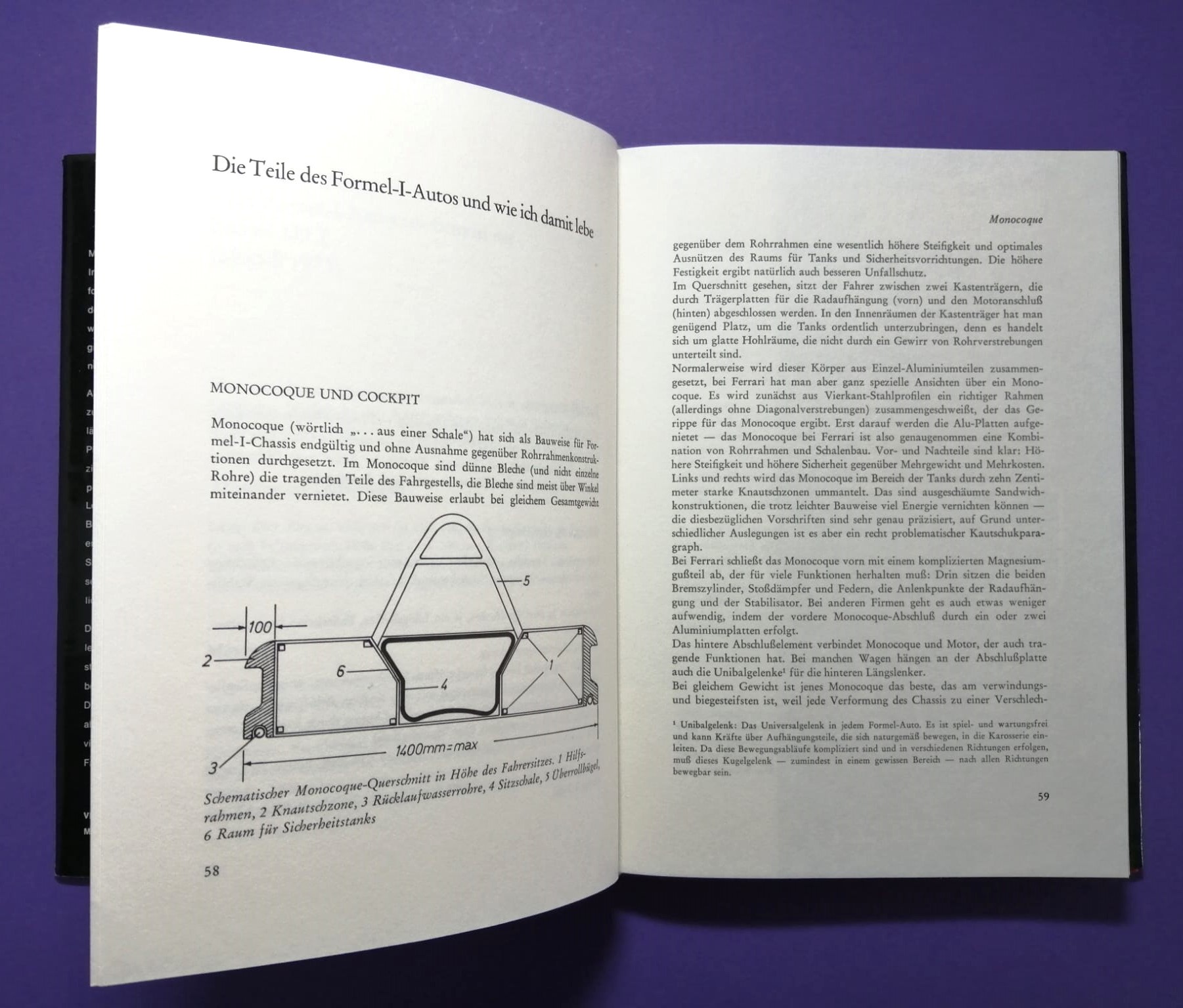 altes Buch Niki Lauda Formel 1, Technik und Praxis des Grand Prix Sports, Ferrari, Mariella Reininghaus, James Hunt, Österreichring,..